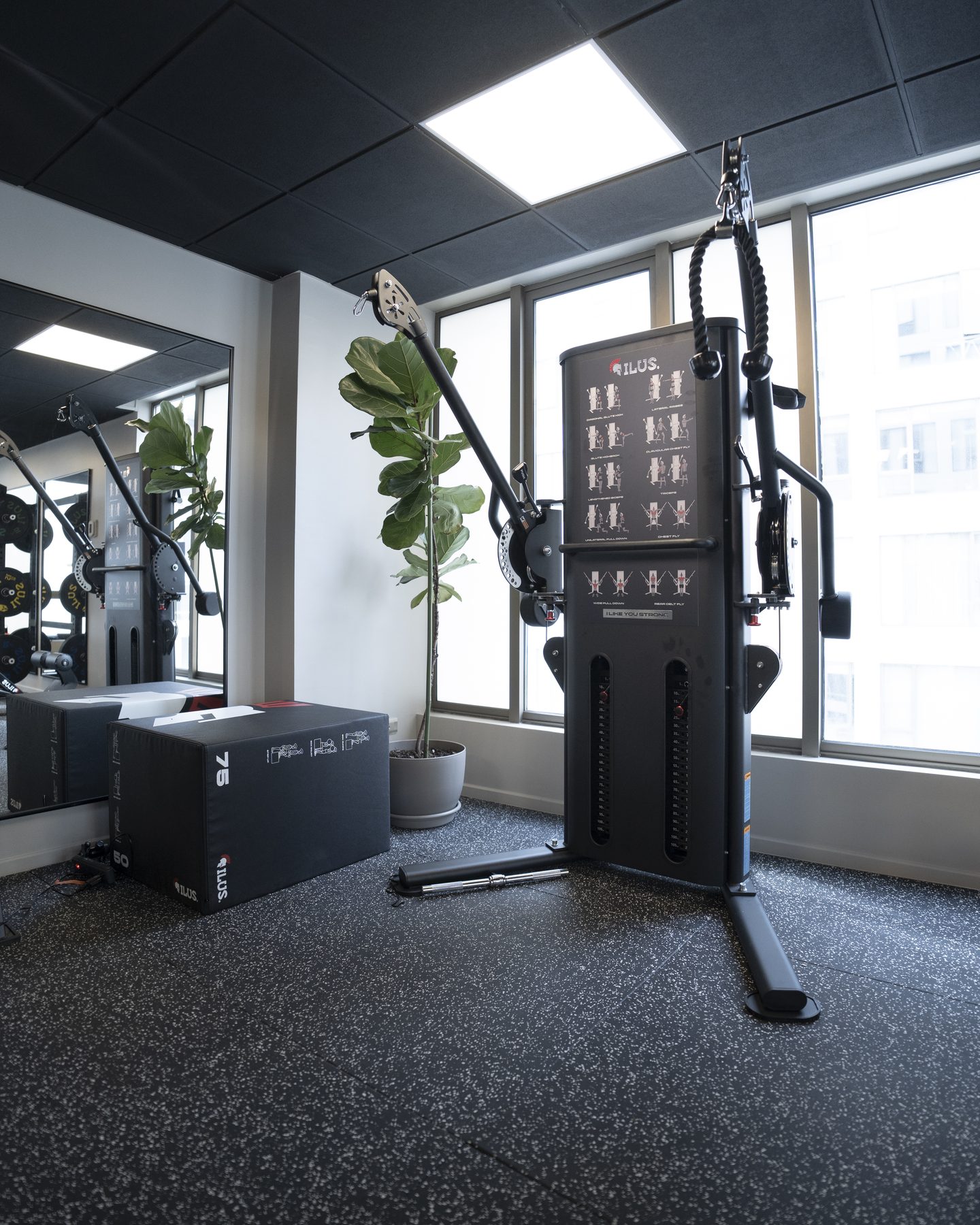 Máquina funcional de poleas para entrenamiento en gimnasio MovaFit Studio