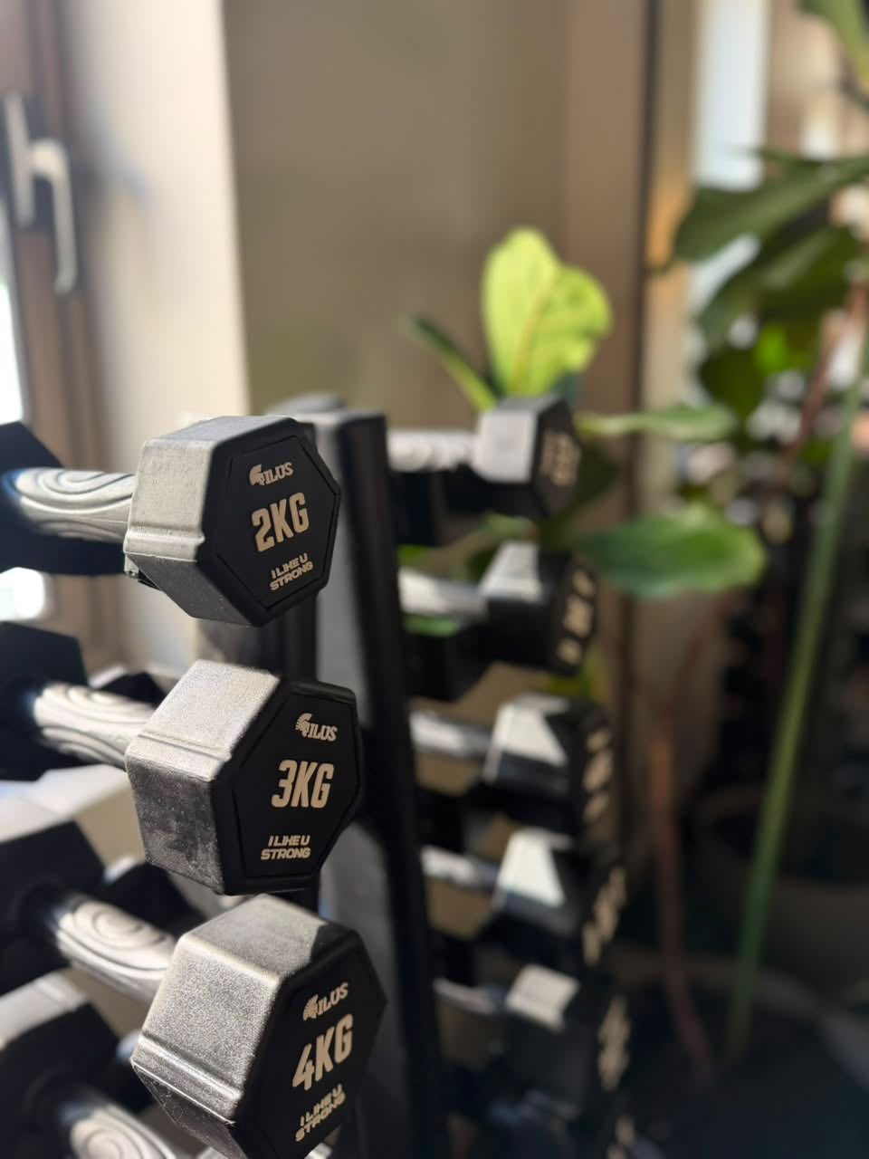 Gimnasio MovaFit Studio en Las Condes, entrada con rack de musculación